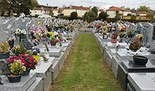 Enherbement de cimetière : besoin d'aide ?